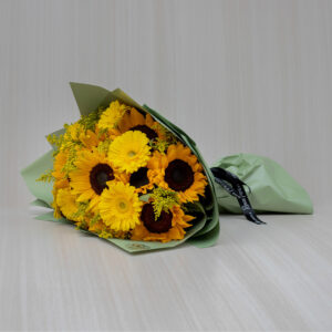 Ramo Sol Premium